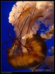 P7202481