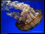 P7202494