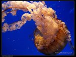 P7202496