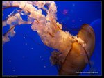 P7202497