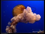 P7202505