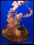 P7202512
