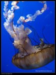 P7202513