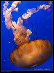 P7202514