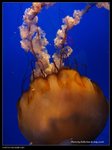 P7202515