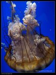 P7202517