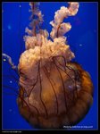 P7202518