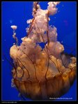 P7202519