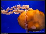 P7202524