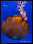 P7202528