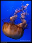 P7202529