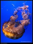 P7202530