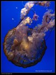 P7202531
