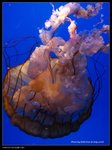 P7202532
