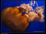 P7202534