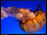 P7202536