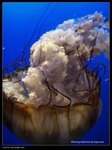 P7202537