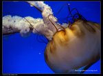P7202538