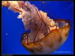 P7202540