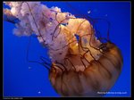 P7202542