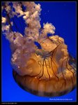P7202545