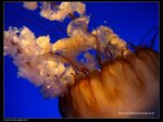 P7202546