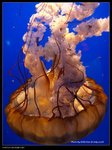 P7202548