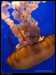 P7202549
