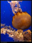 P7202550