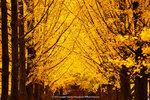 Cover_009