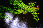 DSC07690