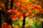 DSC07904