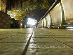 night 07