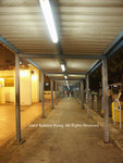 night 08