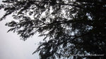 P1030627
