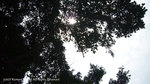 P1030628