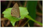 2012-11-24 TC0001