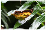 2024-08-11 HK Park015