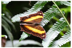 2024-08-11 HK Park022