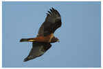 2025-11-25 MP190