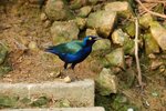 Image00002