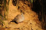 Image00010