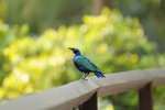 Image00011