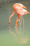 Image00014
