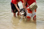 Image00020