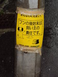五条板