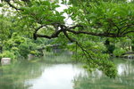 涉成園