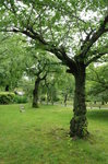 涉成園