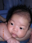 BB_10Apr_10