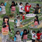 Blog-24jan10-2